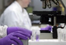 El Europarlamento hace balance del Ébola e insta a estudiar “alternativas” a la patente