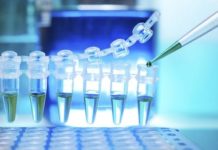 Las licencias adaptables inician el paso de la teoría a la acción