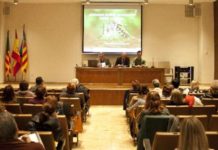 El COF de Castellón organiza una jornada para actuar contra el mosquito tigre