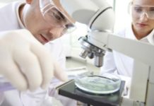 La industria debe afrontar un cambio de modelo integral para poder ser sostenible