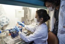 Investigadores españoles acechan al cáncer de tiroides