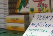 Las plantas medicinales son una opción en alteraciones nerviosas