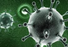 La Asamblea Mundial de la Salud busca erradicar la hepatitis viral de cara a 2030