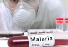 Novartis trabaja en el desarrollo de un tratamiento antimalárico de última generación