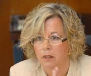 FEFE cree que la jornada europea sobre modelos es “una justificación de McCreevy ante la CE”