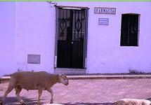 El CGCOF ve “imposible” crear una Vocalía de Rurales