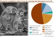 La Eurocámara suaviza la ley de ensayos con animales