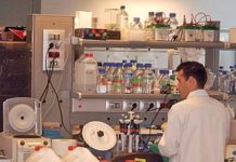 Ciencia y Feder dedican más de 1.300 millones a cuatro programas de I+D