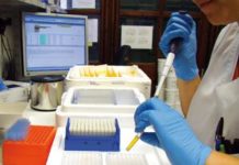 La alianza SAFE-T define su estrategia de biomarcadores