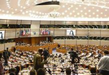 La directiva de información al paciente renace en la Eurocámara: el Consejo tiene la palabra