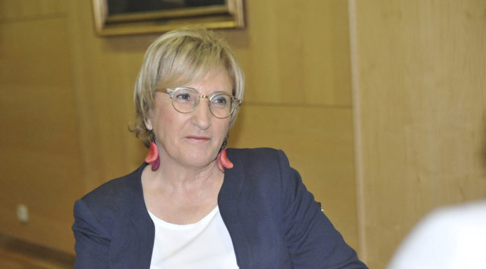Una comisión asesorará a la central de compras valenciana