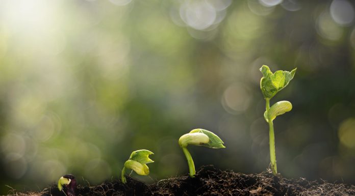 España se convierte en el primer país en hacerse ‘eco’ del Pacto Verde europeo