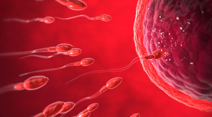 La CE aprueba una nueva pluma precargada de Gonal-f para la estimulación ovárica