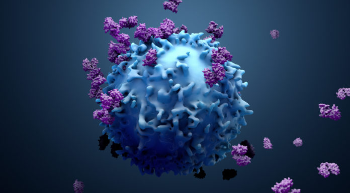 Europa empieza a estudiar la nueva CAR-T de Gilead