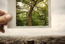 Cambio climático: un reto global; una preocupación particular