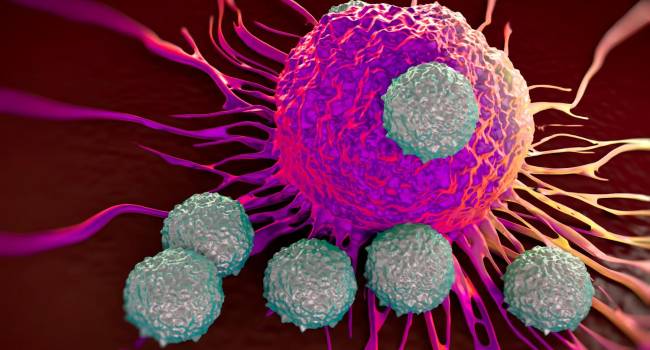 Gilead y Agenus firman un acuerdo para avanzar en inmuno-oncología