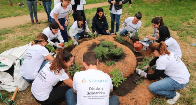 200 voluntarios de Novartis aportan su grano de arena
