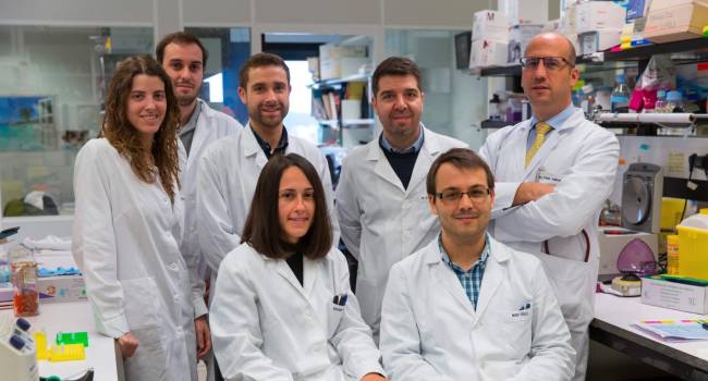 Dos inhibidores de moléculas demuestran ralentizar el cáncer de páncreas