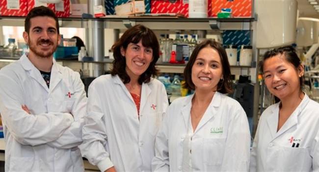 Investigadores españoles proponen la reclasificación de un tipo de linfoma de células B
