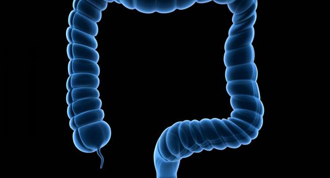 Una nueva técnica quirúrgica permite mejor visualización y resección más precisa de los tumores de recto