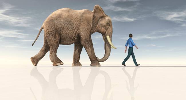 ¿Por qué los humanos viven más que un ratón, un delfín o un elefante?
