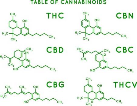 Una investigación señala la efectividad del cannabidiol contra las resistencias