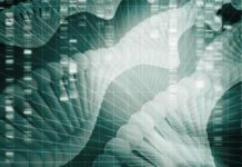 La inmunoterapia del cáncer: ¿Evolución o Revolución?