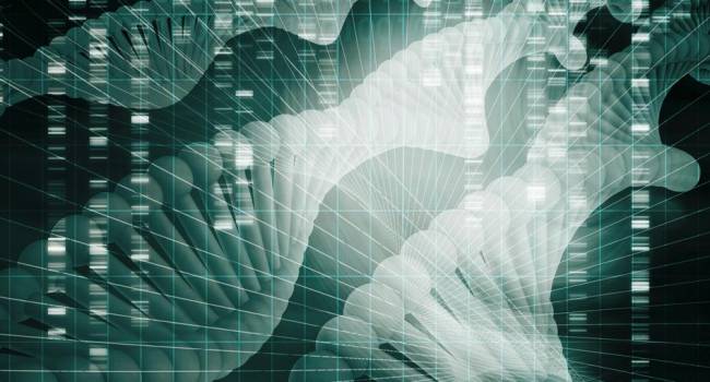 La inmunoterapia del cáncer: ¿Evolución o Revolución?
