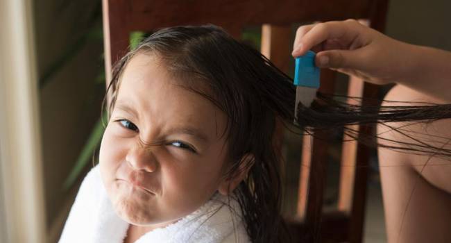 Vuelta al cole… Y vuelta a los piojos: consejos para prevenirlos y acabar con ellos