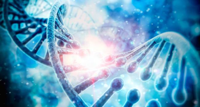Alianza mundial entre Bayer y Foundation Medicine en oncología