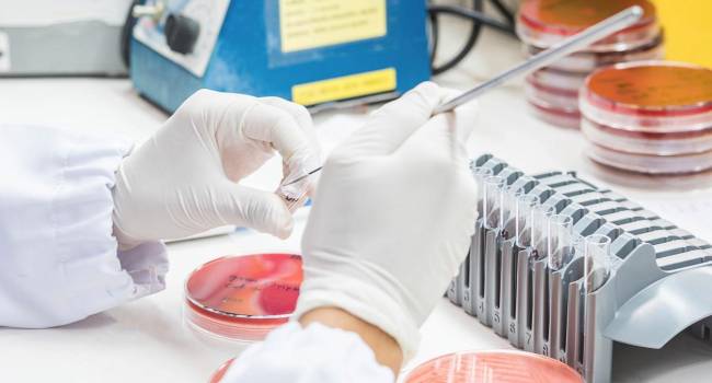 La industria global pide incentivos urgentes a los gobiernos contra la resistencia antimicrobiana
