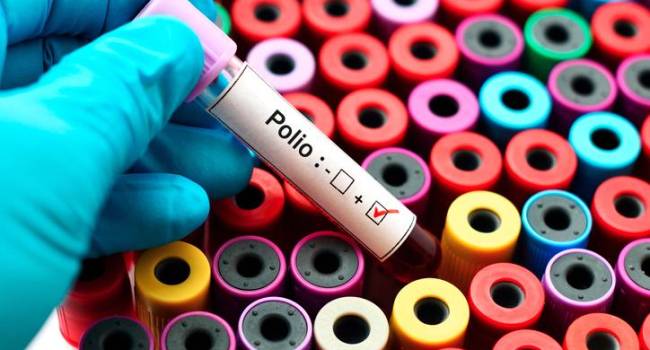 Una comisión independiente de expertos declara erradicado el virus de la polio tipo 3 en todo el mundo