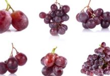 Las uvas del lazarillo y los precios en oncología