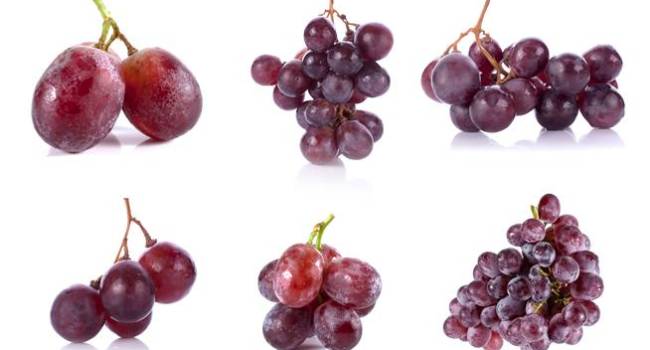 Las uvas del lazarillo y los precios en oncología