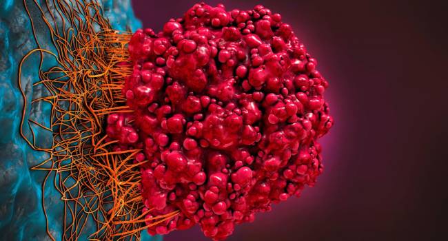Disponible en España la combinación Braftovi y Mektovi para melanoma metastásico