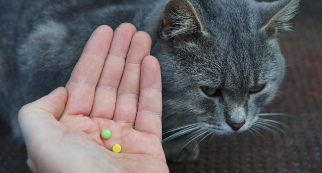 El ‘boom’ de las mascotas convierte a la sección de veterinaria en una “apuesta segura” en botica