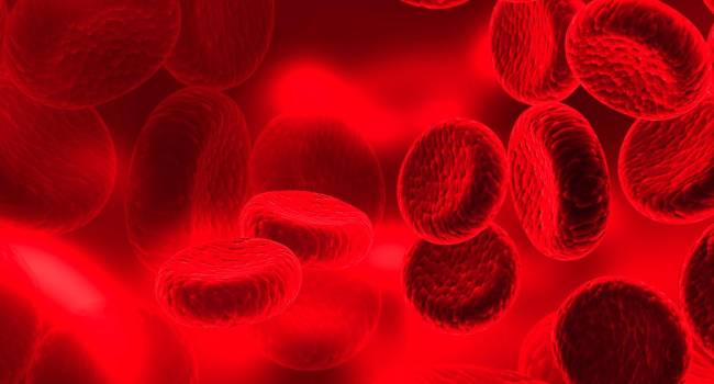 Nuevos fármacos para la diabetes pueden reducir entre un 20 y un 30% el riesgo de mortalidad cardiovascular