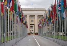 Sanidad abandera en la ONU un Plan de Salud y Medio Ambiente