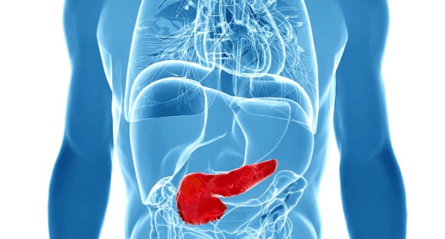 El cáncer de páncreas metastásico “se reprograma” para la malignidad