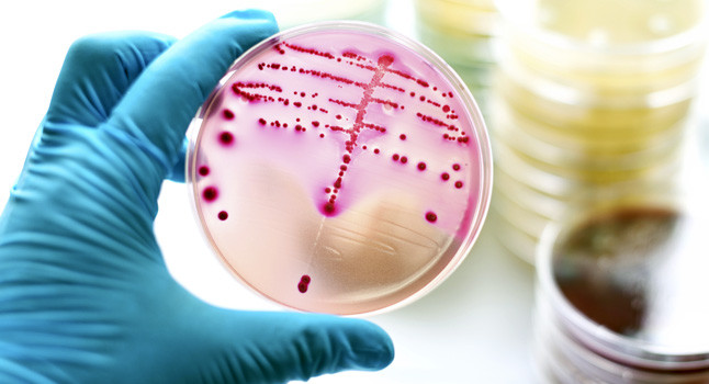 El futuro en antibióticos también pasa por las terapias personalizadas