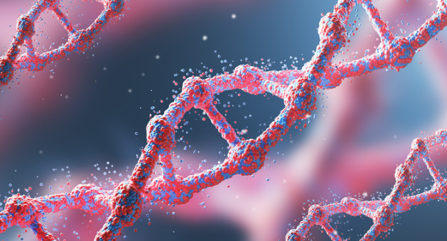 El CSIC emplea minigenes para rastrear la predisposición al cáncer de mama