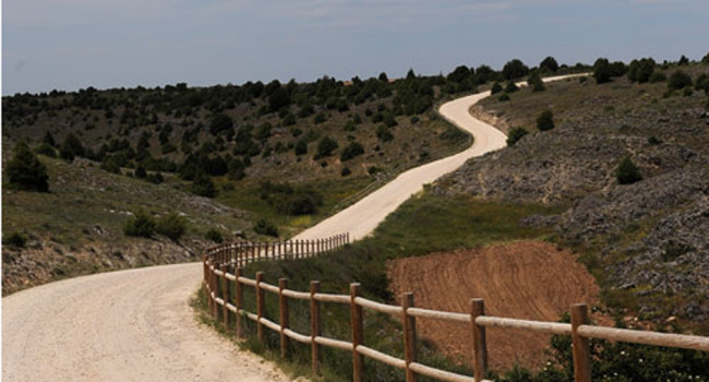 El Interterritorial muestra el camino