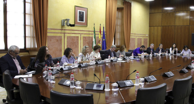 La oposición andaluza presenta una batería de enmiendas para poner fin a las subastas