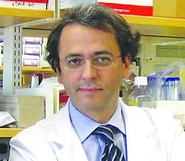 Nuevo subgrupo de tumores hepáticos que responderían a la inmunoterapia