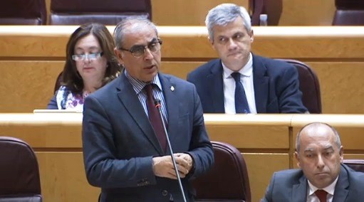 El PSOE pide al Gobierno una explicación sobre el riesgo de no renovar a “decenas” de investigadores