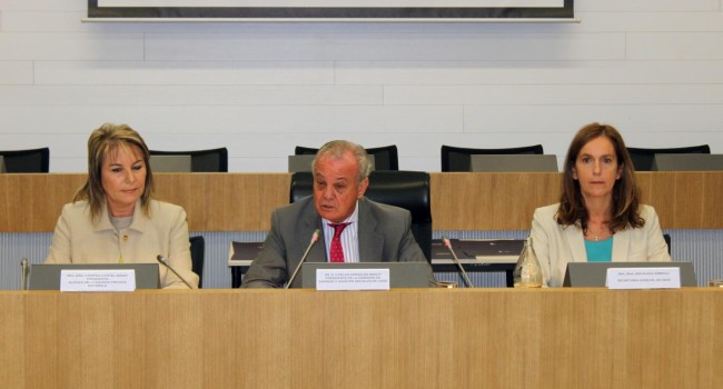 La AGP apoya la colaboración público-privada para reforzar el SNS