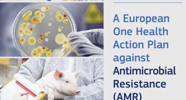 Las resistencias necesitan la especialidad de infecciosas en España