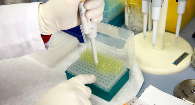 El Instituto de Salud Carlos III subvenciona más de 700 proyectos de investigación para fomentar la salud