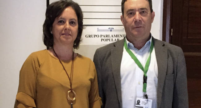 La AGP entrega al PP de Andalucía su informe sobre vacunación antigripal