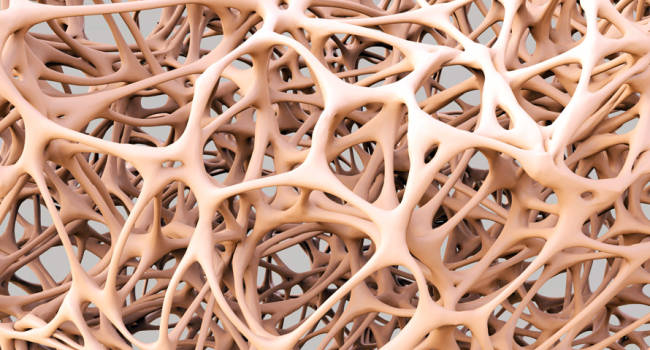 Aceptada la solicitud de autorización de romosozumab para tratar la osteoporosis